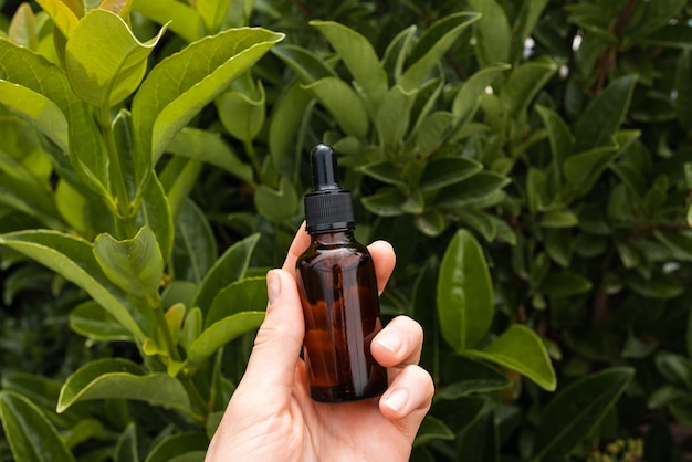 Essential oil in glass bottle on green plant outdoors great design for any purposes Cosmetic liquid beauty product Nature background