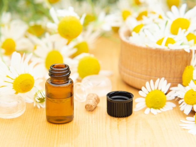 Essential oil in a glass bottle with fresh chamomile flowers spa concept chamomile flowers oil on a wooden table