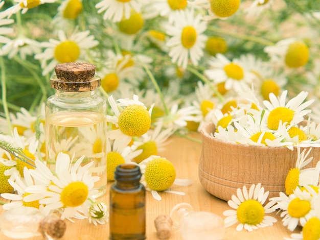 Essential oil in a glass bottle with fresh chamomile flowers spa concept chamomile flowers oil on a wooden table