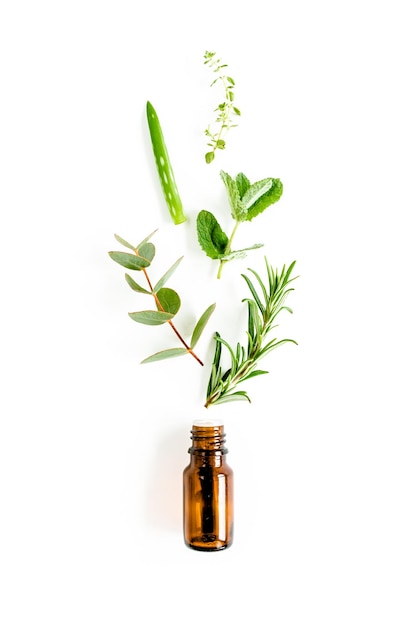 Essential oil and mix of herbs green branches leaves eucalyptus aloe vera rosemary thyme on white ba