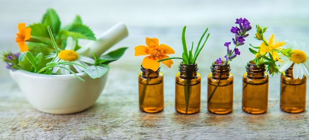 Essential oils and herbal extracts in small bottles. Selective focus. nature.