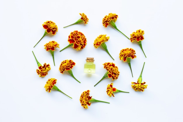 Photo essential oils of marigold flower