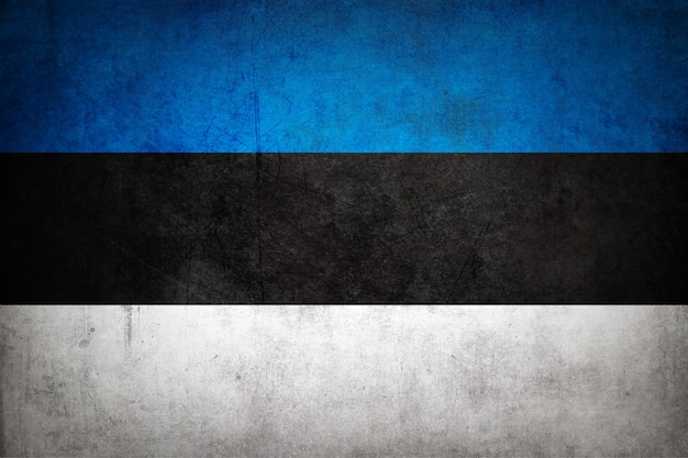 Estonia flag with grunge texture.