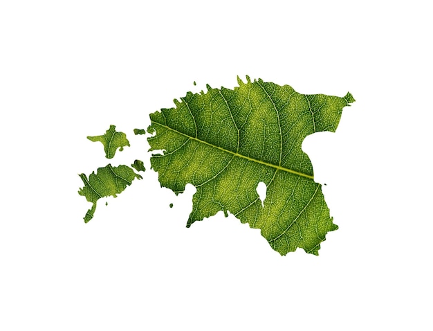 Estonia map made of green leaves on soil background ecology concept