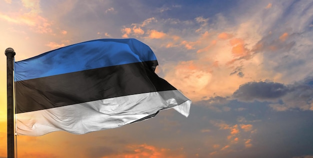 The estonia waving flag and sky background.