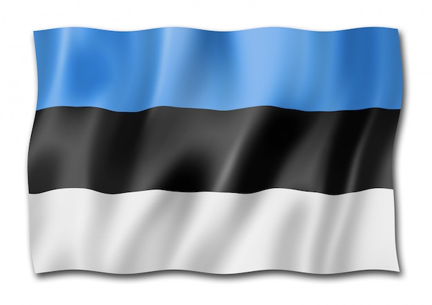 Estonian flag isolated