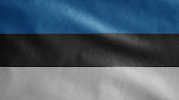 Estonian flag waving in the wind