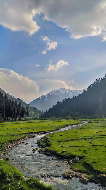 the ethereal beauty of the Betaab Valley in Kashmir