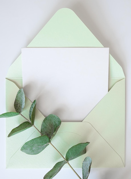 Eucalyptus branch and green envelope with copy space