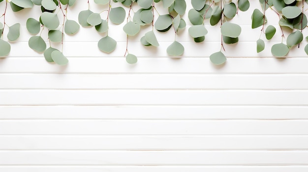 Photo eucalyptus branches and leaves on wooden rustic white