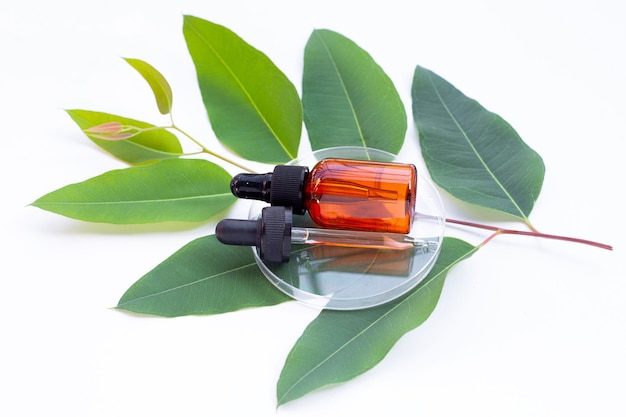 Eucalyptus essential oil bottle with leaves on white background