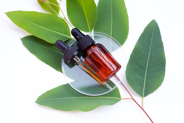 Eucalyptus essential oil bottle with leaves on white background