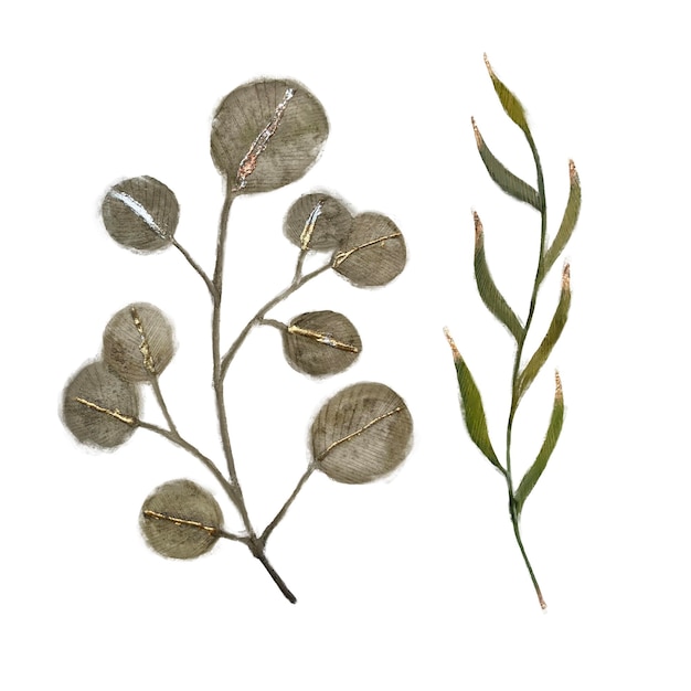 Photo eucalyptus and lunaria silver dollar dried botanicals ideal for boho chic and minimalist decor