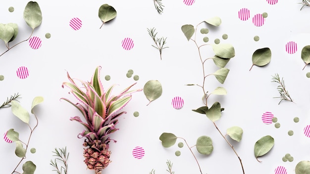 Eucalyptus Twigs in a Flat Lay on White Paper With Stripy Circles