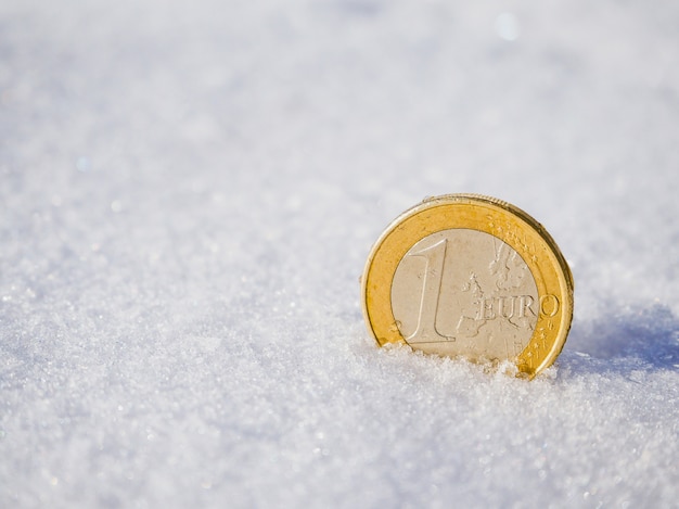 Euro Coin in the snow