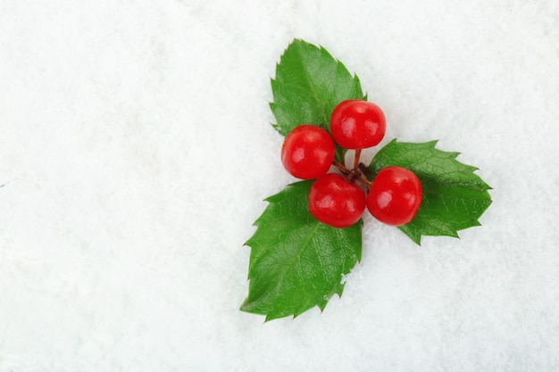 European Holly (Ilex aquifolium) with berries on snow, close up