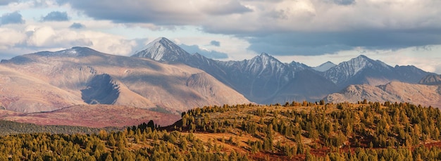 Evening light in the mountains panoramic