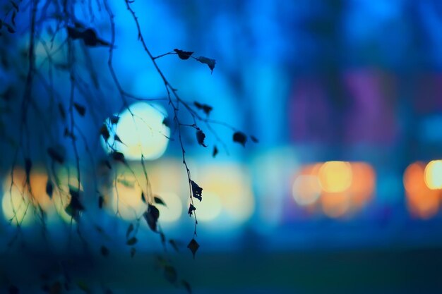 evening lights blurred background bokeh autumn, abstract city background, autumn