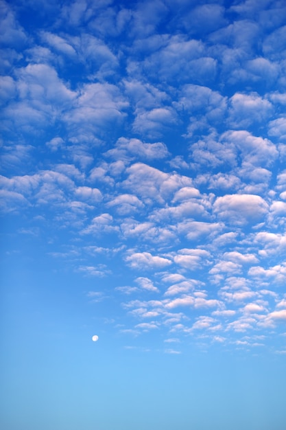 Evening moon on the blue sky with clouds evening cloudscape