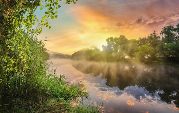 Evening on the river