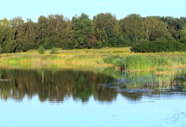 Evening summer lake landscape with plants reflections on water surface (near Shklo settlement, Lviv Oblast, Ukraine) .