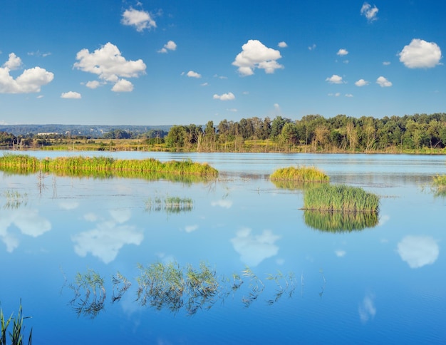 Evening summer lake landscape