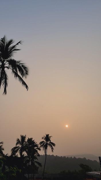 Evening sunset nature sky view