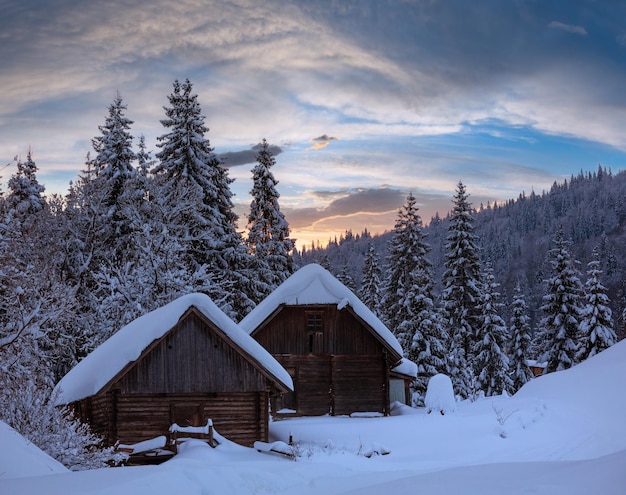 Evening winter Ukrainian Carpathian Mountains landscape