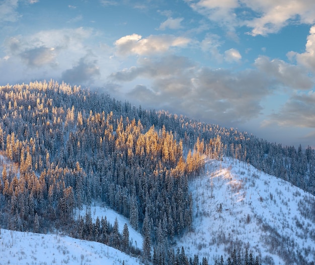 Evening winter Ukrainian Carpathian Mountains landscape