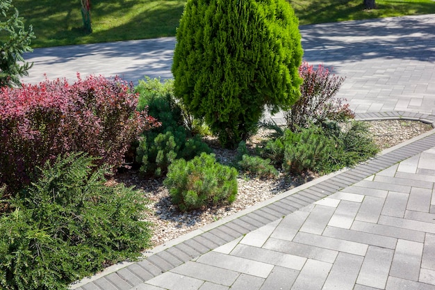 Evergreen trees and shrubs with a flower bed in a landscaped park