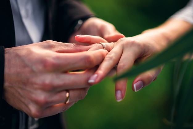 Exchange rings for wedding registration of marriage between the bride and groom