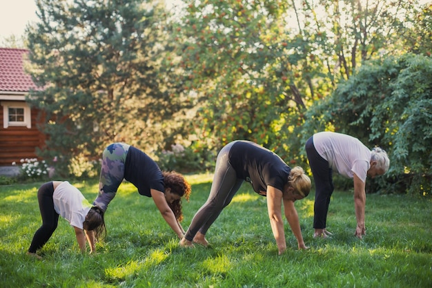 Exercising females of four generations of family warming up with hands on ground stretching their bodies on meadow full of greenery Spending time together