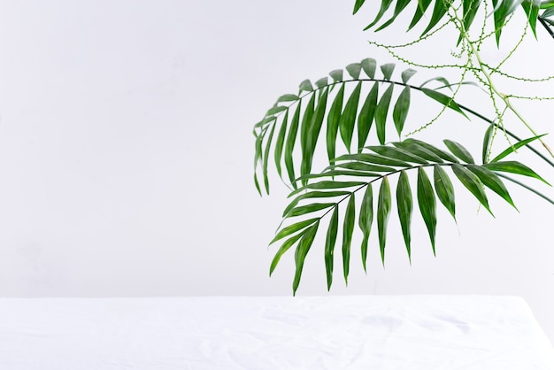 Exhibition place for product on a white background with palm leaves and shadows. . Showcase mockup.