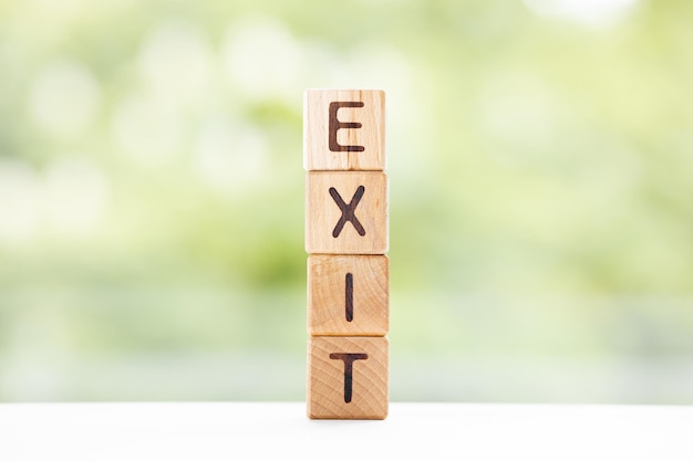 Exit word is written on wooden cubes on a green summer background Closeup of wooden elements