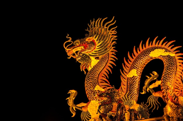 Exotic gold dragon on black sky background