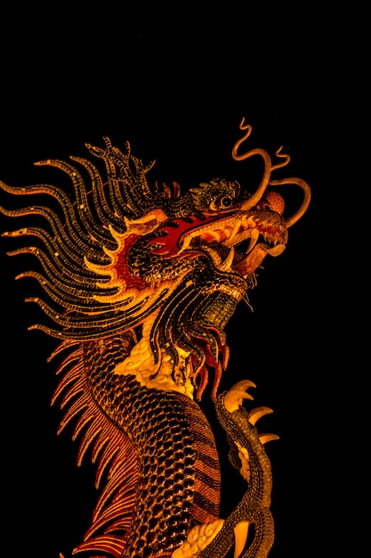 Exotic gold dragon on black sky background