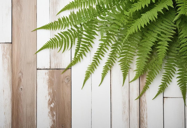 Photo exotic leaves framing rustic wooden background elegant natureinspired design with ample copy space