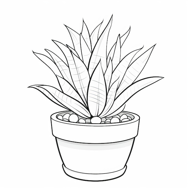 Exotic Old Potted Plant Coloring Page