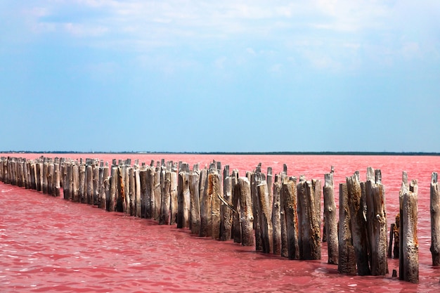 Exotic pink salt lake and blue sky with clouds. High quality photo