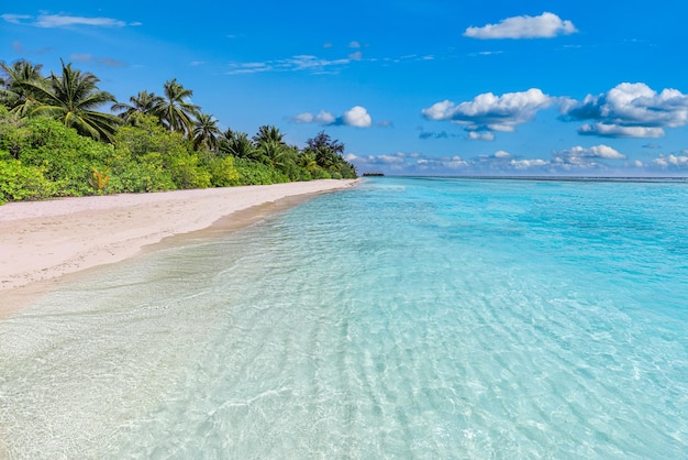 Exotic tourism destination banner summer vacation Sunny sea sand sky coco palm trees beach