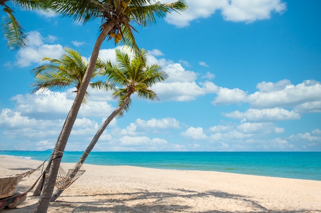 Exotic tropical beach landscape for background or wallpaper. Tranquil beach scene for travel inspirational, Summer holiday and vacation concept for tourism relaxing.