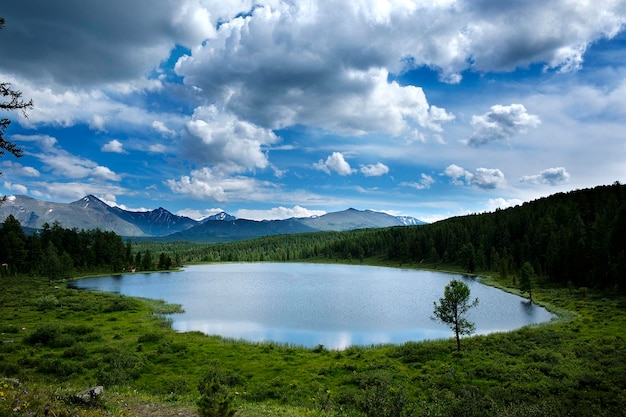 the expanses of the Altai territory and the rapid running of mountain rivers on a sunny summer day