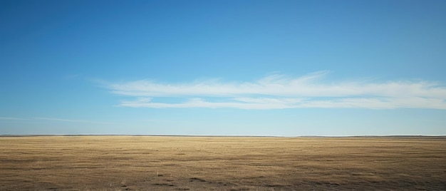 Photo expansive open field with clear blue sky