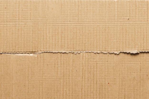 Exploring Texture and Depth The Aesthetic Impact of Torn Cardboard Backgrounds