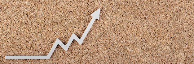 Export and price of wheat Reducing exports of wheat and grain World food crisis Hunger and lack of food Ban on the export of grain and agricultural products