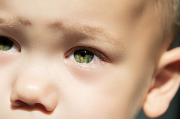 Expressive look of a small child Baby's eye closeup Gray green iris