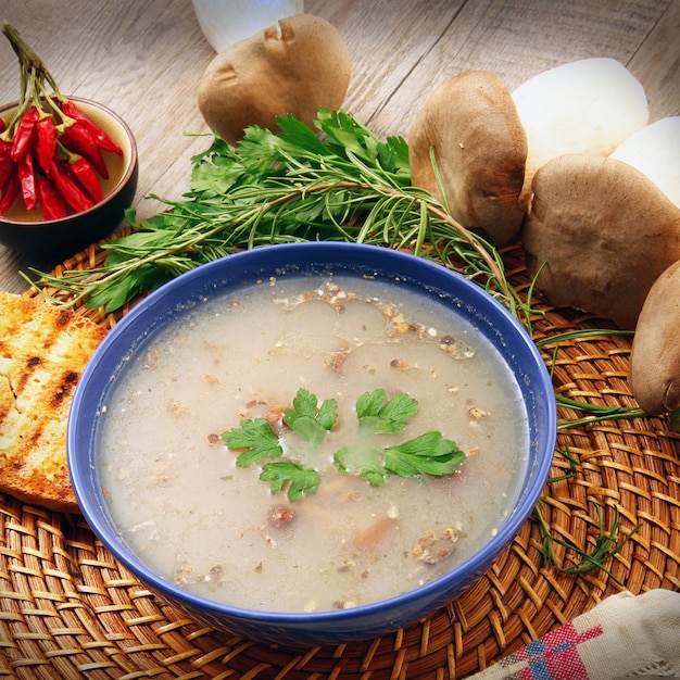 Exquisite traditional mushroom soup with bio ingredients