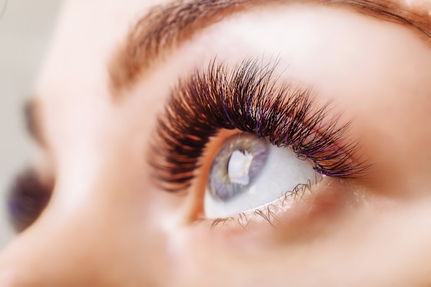 Eyelash Extension Procedure. Woman Eye with Long Eyelashes