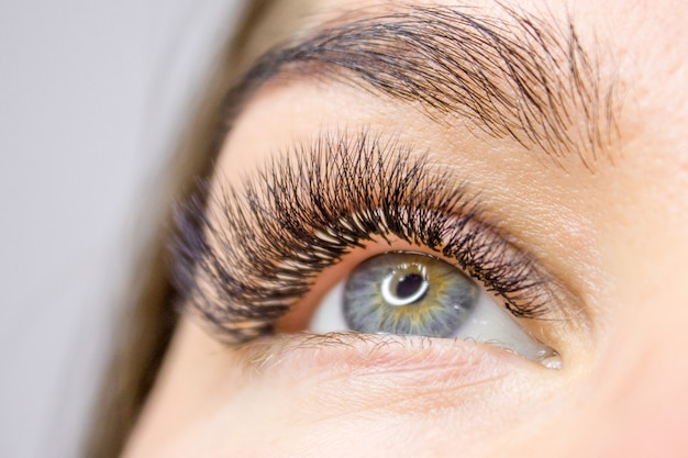  Eyelash Extension Procedure. Woman Eye with Long false Eyelashes. Beauty and fashion   