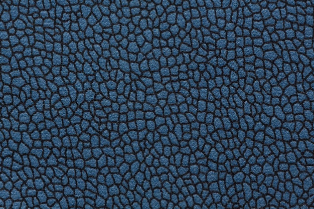 Fabric texture in blue colour with tracery